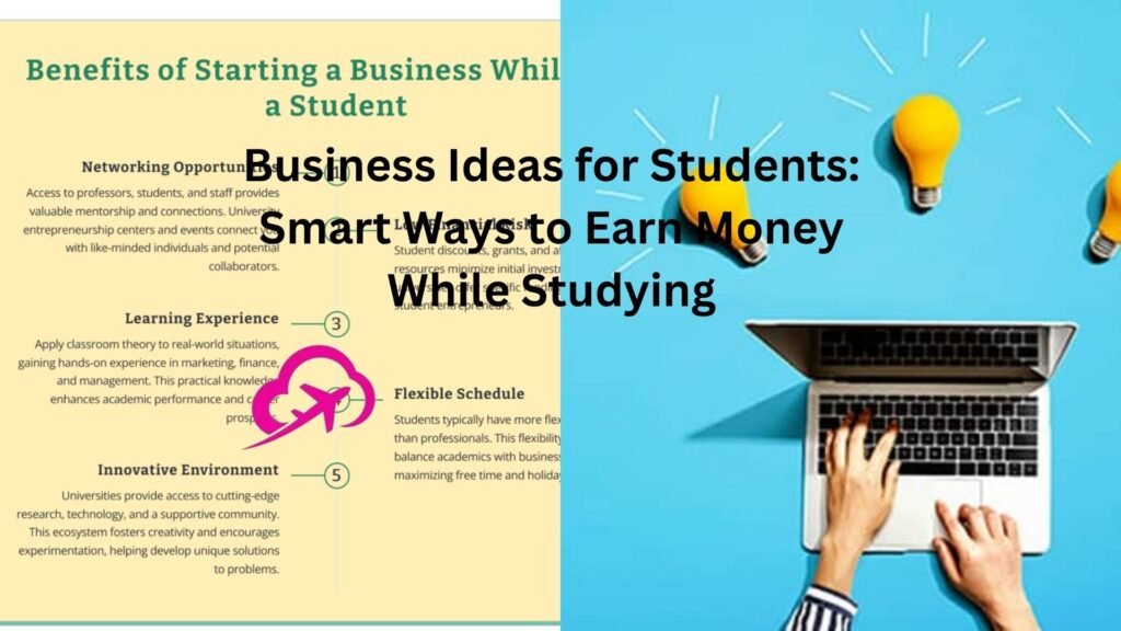 what are business ideas for students disbusinessfied